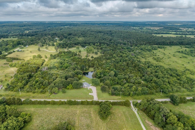 11145 State Hwy W, Elkland, MO 65644 - photo 96