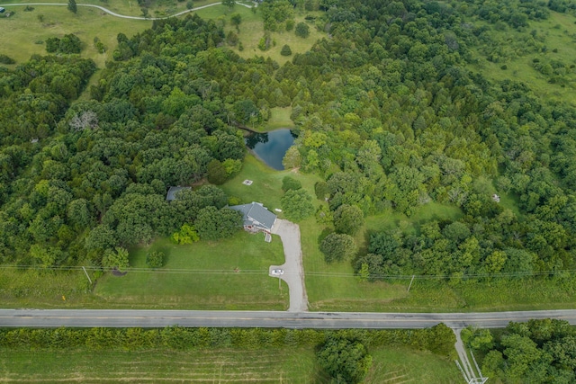 11145 State Hwy W, Elkland, MO 65644 - photo 106