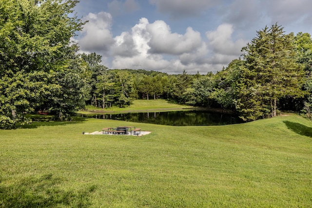 11145 State Hwy W, Elkland, MO 65644 - photo 98