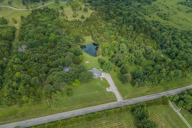11145 State Hwy W, Elkland, MO 65644 - photo 105