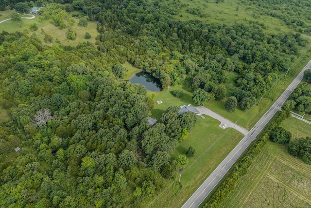 11145 State Hwy W, Elkland, MO 65644 - photo 104