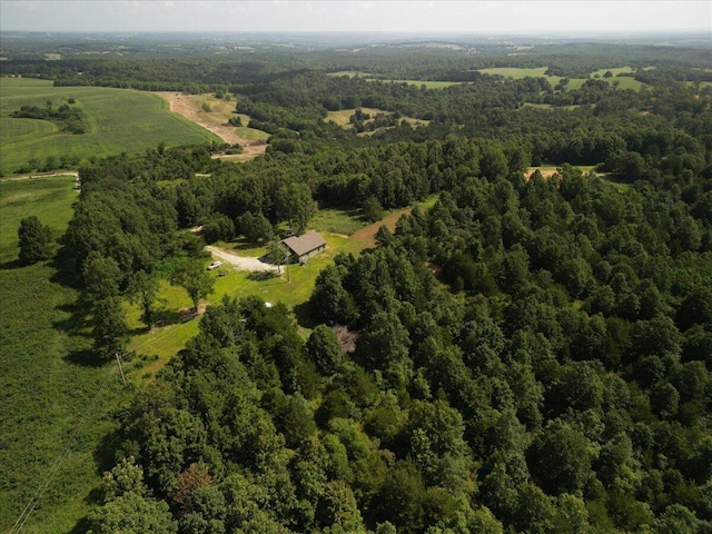 4290 Gravel Point Rd, Mountain Grove, MO 65711 - photo 16