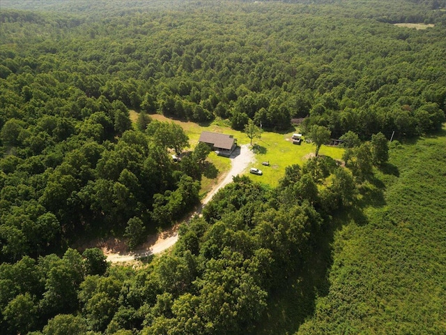 4290 Gravel Point Rd, Mountain Grove, MO 65711 - photo 19
