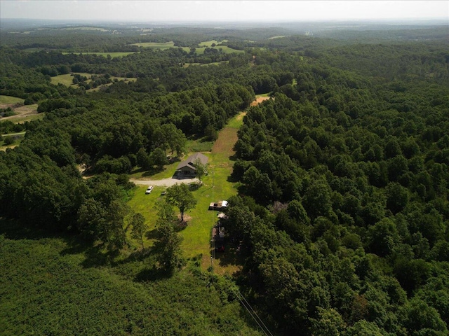 4290 Gravel Point Rd, Mountain Grove, MO 65711 - photo 17