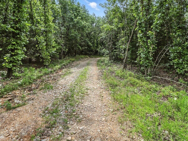 4290 Gravel Point Rd, Mountain Grove, MO 65711 - photo 15