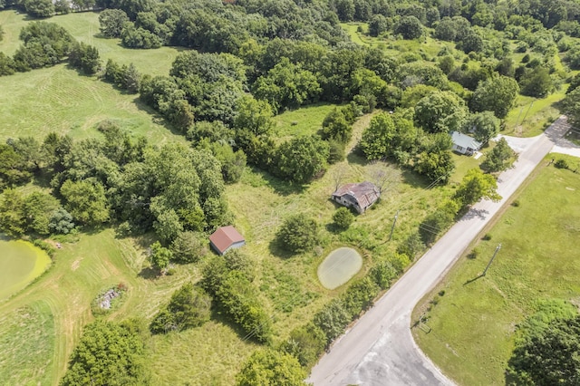 1327 Two Rivers Rd, Highlandville, MO 65669 - photo 23