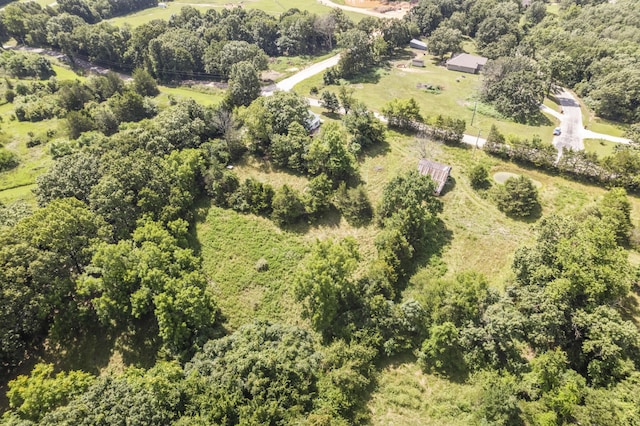 1327 Two Rivers Rd, Highlandville, MO 65669 - photo 19