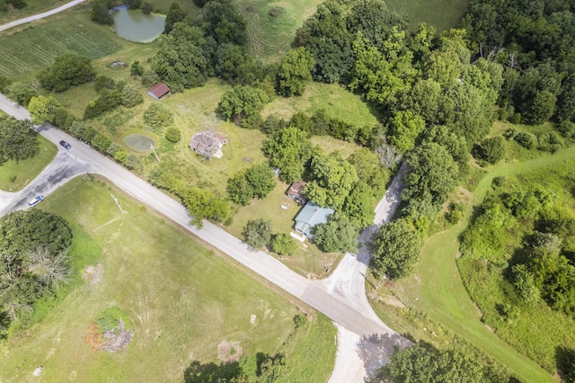 1327 Two Rivers Rd, Highlandville, MO 65669 - photo 21