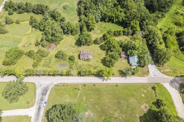 1327 Two Rivers Rd, Highlandville, MO 65669 - photo 22