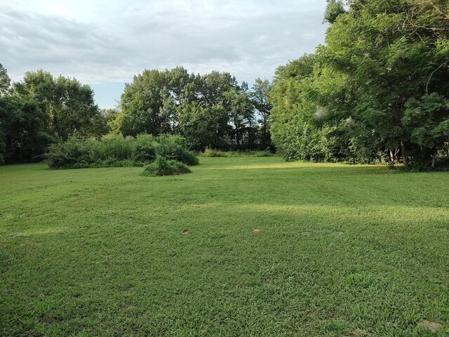 904 E Locust St, Bolivar, MO 65613 - photo 19