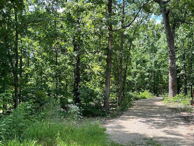 1001 Foxfield Rd, Mammoth Spring, AR 72554 - photo 6