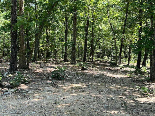 1001 Foxfield Rd, Mammoth Spring, AR 72554 - photo 8