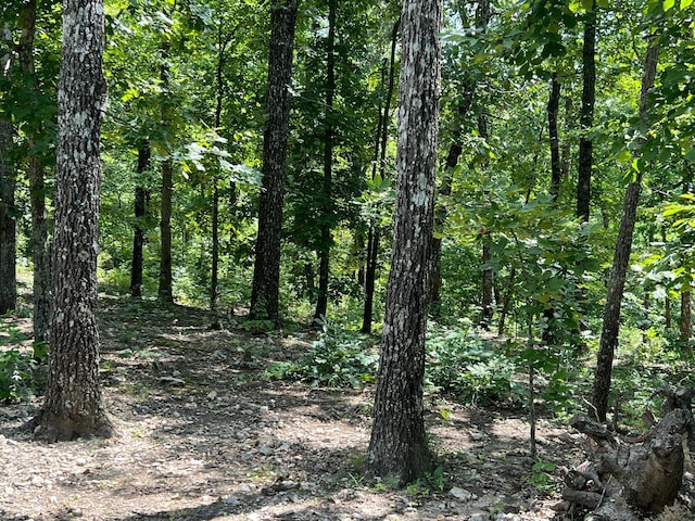 1001 Foxfield Rd, Mammoth Spring, AR 72554 - photo 7