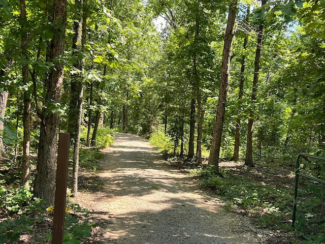 1001 Foxfield Rd, Mammoth Spring, AR 72554 - photo 5