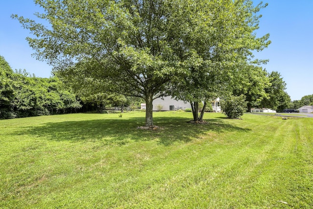 1105 Eden Ave, Webb City, MO 64870 - photo 43
