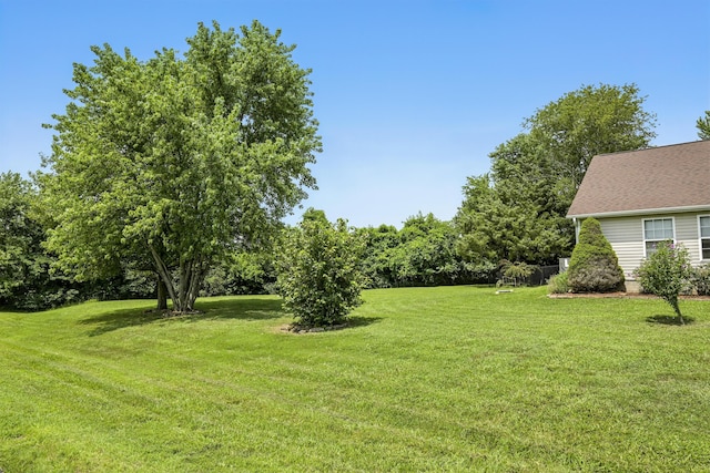 1105 Eden Ave, Webb City, MO 64870 - photo 42
