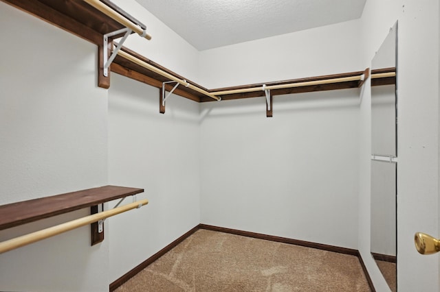 1105 Eden Ave, Webb City, MO 64870 - photo 24