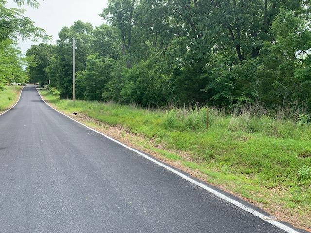 000 Fox Hollow Dr/, Shell Knob, MO 65747 - photo 11