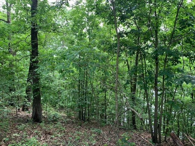000 Fox Hollow Dr/, Shell Knob, MO 65747 - photo 13