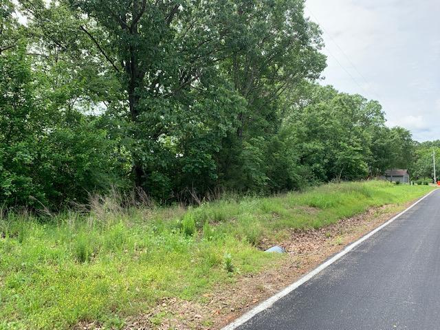 000 Fox Hollow Dr/, Shell Knob, MO 65747 - photo 12