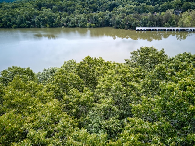 000 Fox Hollow Dr/, Shell Knob, MO 65747 - photo 7