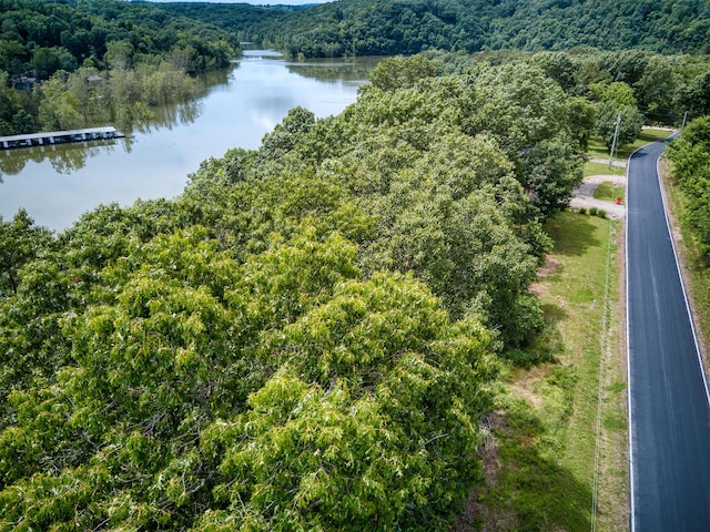 000 Fox Hollow Dr/, Shell Knob, MO 65747 - photo 6