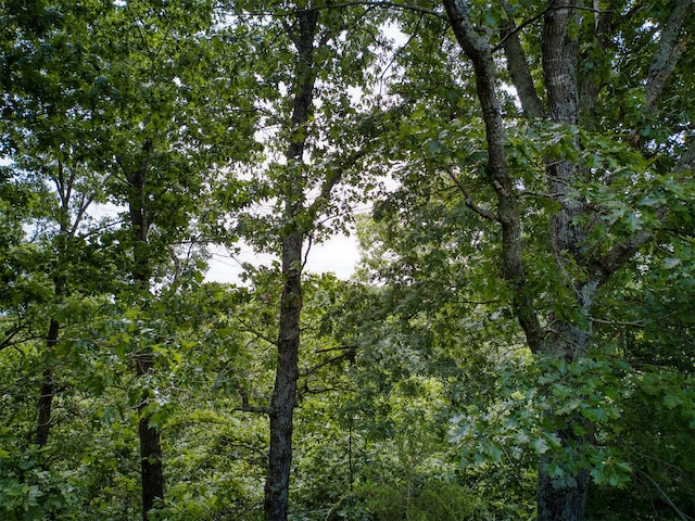 000 Fox Hollow Dr/, Shell Knob, MO 65747 - photo 8