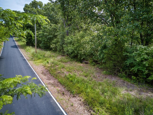 000 Fox Hollow Dr/, Shell Knob, MO 65747 - photo 5