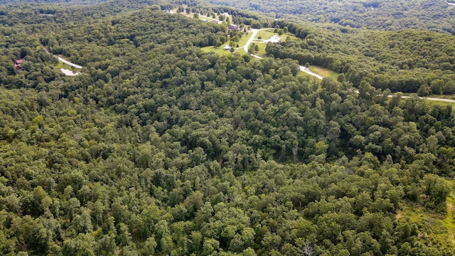 13 Lookout Pt, Bruner, MO 65620 - photo 9