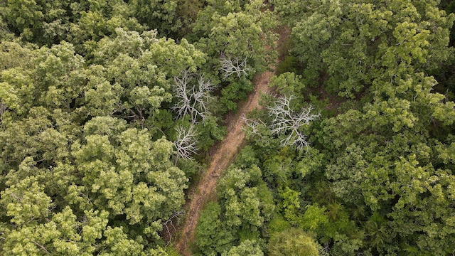 13 Lookout Pt, Bruner, MO 65620 - photo 11