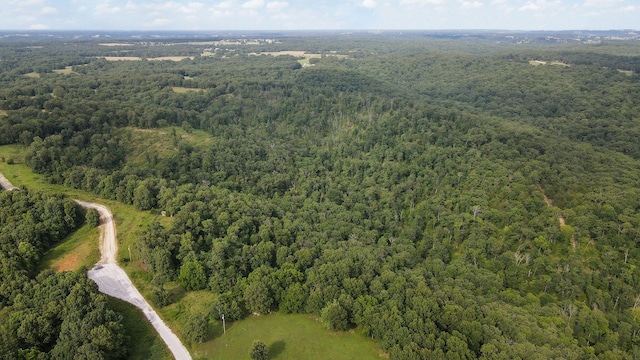 13 Lookout Pt, Bruner, MO 65620 - photo 18