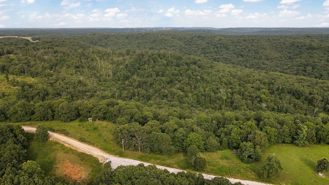 13 Lookout Pt, Bruner, MO 65620 - photo 13