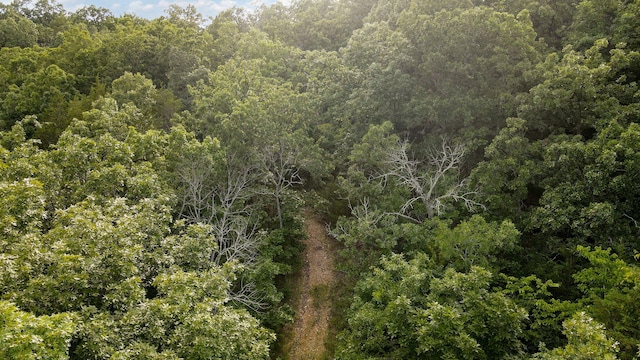 13 Lookout Pt, Bruner, MO 65620 - photo 12