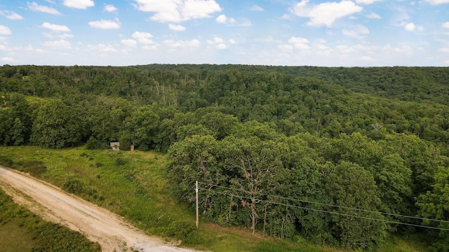 13 Lookout Pt, Bruner, MO 65620 - photo 14