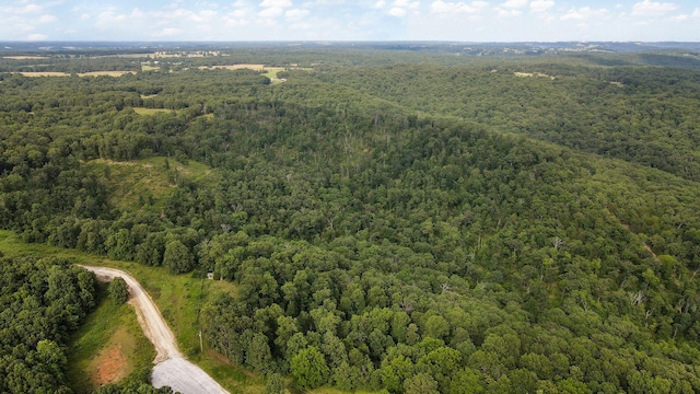 13 Lookout Pt, Bruner, MO 65620 - photo 17