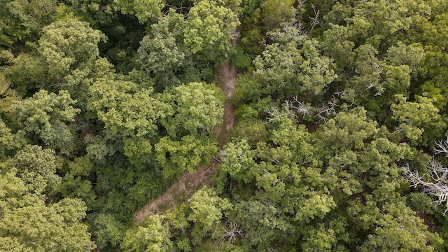13 Lookout Pt, Bruner, MO 65620 - photo 10