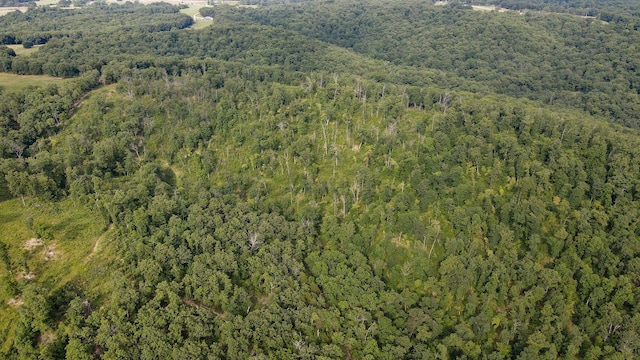 13 Lookout Pt, Bruner, MO 65620 - photo 19
