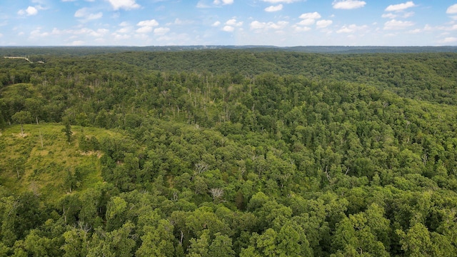 13 Lookout Pt, Bruner, MO 65620 - photo 2