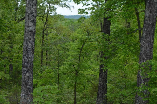 13 Lookout Pt, Bruner, MO 65620 - photo 6