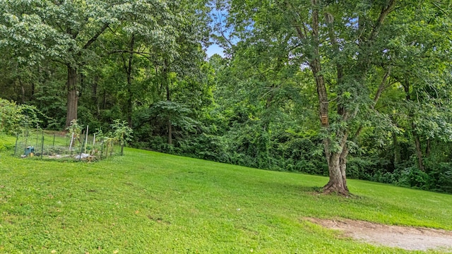 415 Farrell St, West Plains, MO 65775 - photo 36