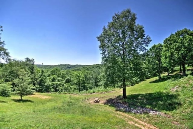 388 Notch Ln Unit 11, Branson West, MO 65737 - photo 34