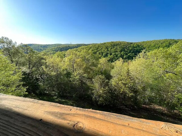 388 Notch Ln Unit 11, Branson West, MO 65737 - photo 21