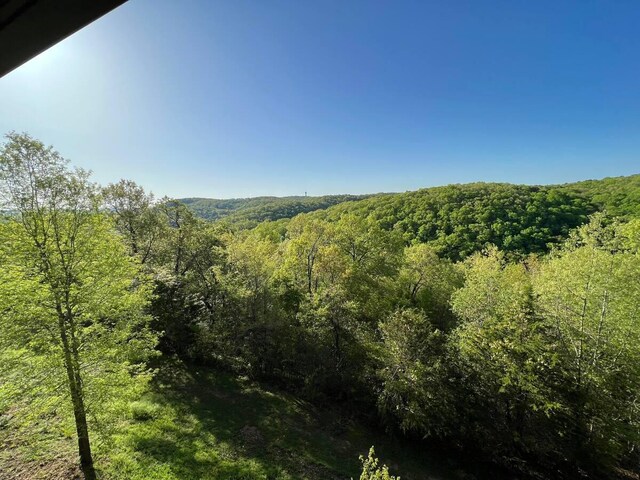 388 Notch Ln Unit 11, Branson West, MO 65737 - photo 23
