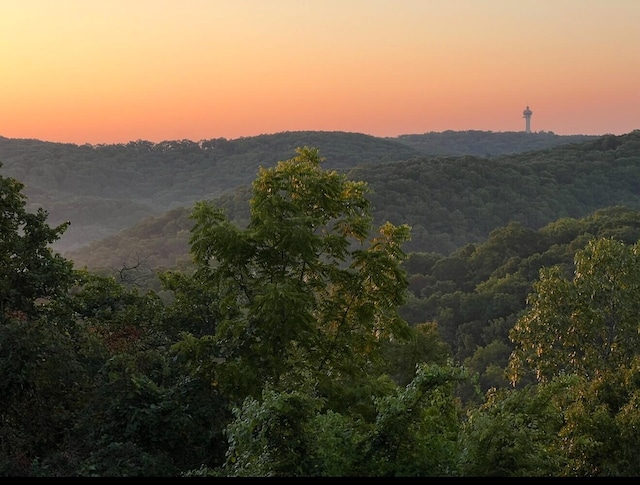 388 Notch Ln Unit 11, Branson West, MO 65737 - photo 25