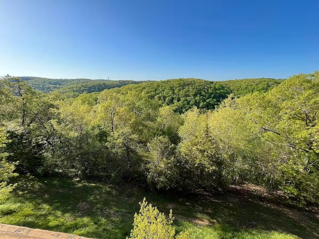 388 Notch Ln Unit 11, Branson West, MO 65737 - photo 22