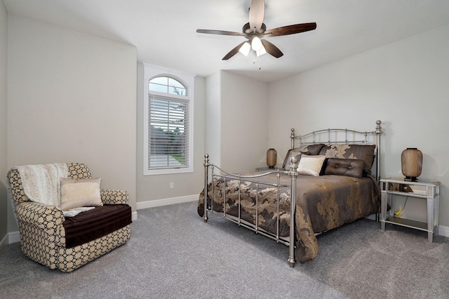 831 N Summercreek Ct, Springfield, MO 65802 - photo 28
