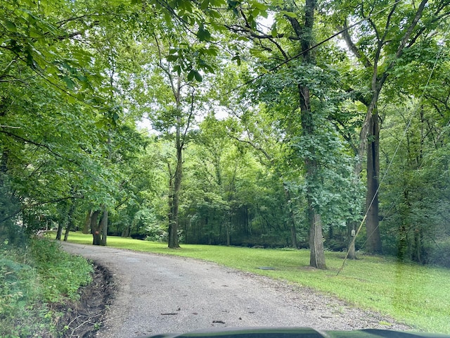 22914 Indian Ln, Hermitage, MO 65668 - photo 33