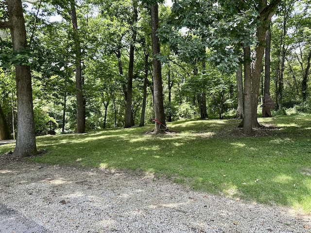 22914 Indian Ln, Hermitage, MO 65668 - photo 36