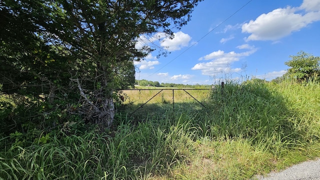 000 Oldfield Rd, Oldfield, MO 65720 - photo 12