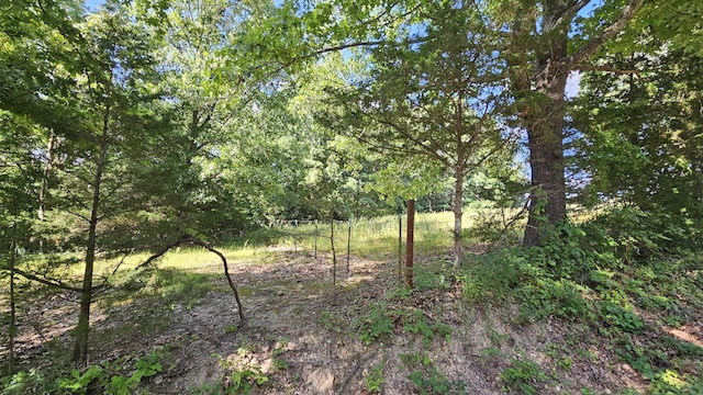 000 Oldfield Rd, Oldfield, MO 65720 - photo 11